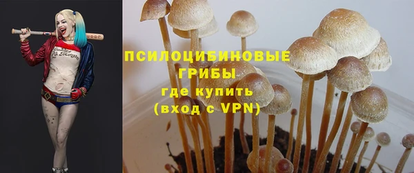 mdma Богданович