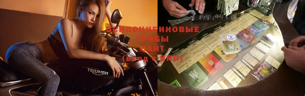 mdma Богданович