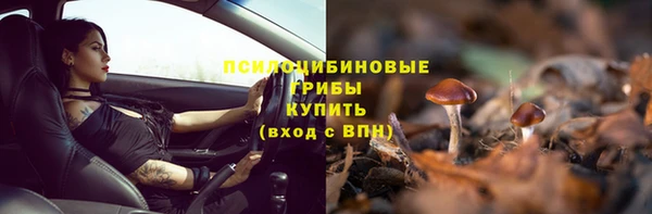 mdma Богданович