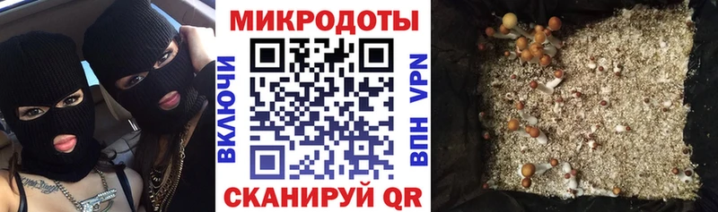 Купить закладки  Новосиль  Псилоцибиновые грибы мухоморы 